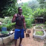 Nigel Louis - @louis_nigel - Instagram