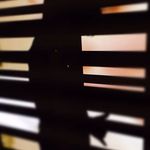 Nigel Louis - @nigellouis5620 - Instagram