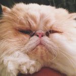 Nigel Louis Thornberry III - @datboijan - Instagram