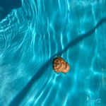 Nigel Louis Torrance - @nigeltorrance - Instagram