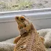 Nigel Newman - @nigel.newman83 - TikTok