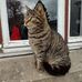 Nigel Newman - Facebook
