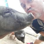 nigel newman - @nigelnewman72 - Instagram