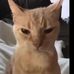 Nigel Newman - Facebook
