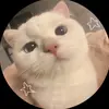 user742127884874 - @nigel.north89 - TikTok