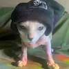 Nigel and Oliver fan page - @.kackalacka - TikTok