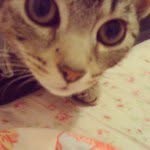 Nigel Oliver - @nigelkitty - Instagram