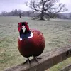 Nigel Oliver - @nigel.oliver4 - TikTok