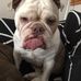 Nigel Owen - Facebook
