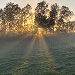 Nigel Parton - @parton.nigel - Instagram
