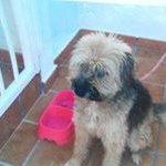 nigel patrick mccarthy - @nigelpatrickmccarthy - Instagram