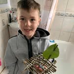 Nigel Pearson - @nigel.pearson.313 - Instagram