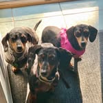 Nigel.willy.penny - @wild_weens - Instagram