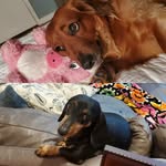 Penny and Nigel - @penny_and_nigel - Instagram