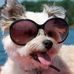 Nigel Peterson - Facebook