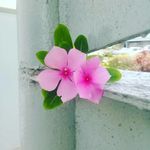 Nigel Peterson - @tt.photo_beauty - Instagram