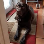 Nigel Phillips - @nigel.phillips.167 - Instagram