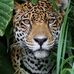 Nigel Phillips - Facebook