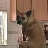 Nigel Phillips - @nigel.phillips1 - TikTok