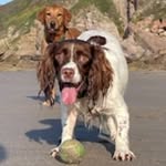 Nigel Phillips - @nigel.phillips.14 - Instagram