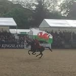 Nigel Phillips - @nigel.phillips2 - Instagram