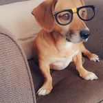 Nigel Pitts - @nigel.pitts.9047 - Instagram