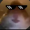 Apple User985484968 - @nigelrichlol - TikTok