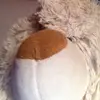 jacknigelrichards170 - @jackrichards2012 - TikTok
