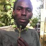 Nigel Richards - @nigel.richards.50115 - Instagram