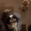 nigelrichards786 - @nigelrichards786 - TikTok