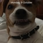 Nigel Rudd - @tinwerx1 - Instagram