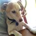 Nigel Rudd - Facebook