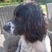 Nigel Rudd - Facebook