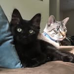 Nigel & Simon - @nigel_simon_bros - Instagram