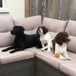 Nigel Stevens - @nige_steves - Instagram