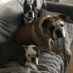 Nigel Stevens - @nigel.stevens.581187 - Instagram