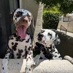 @nigelandsullivan - Instagram