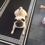Nigel timms - @timms.nigel - Instagram
