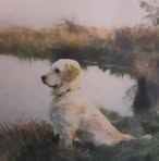 Nigel Timms - Facebook