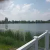 nigelwaters746 - @nigelwaters746 - TikTok