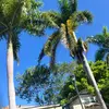 Wray_tours - @nigel.wray0 - TikTok