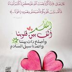 Nihal Ahmed - @nihalsoliman777 - Instagram