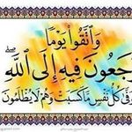 Nihal - @soliman_nihal - Instagram