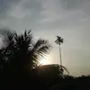 niharmarak835 - @niharmarak835 - TikTok