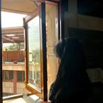 Niharika batra - @just.ttniharika - Instagram