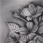 Niharika Batra - @niharikaarts_ - Instagram