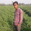 Nihir Patel842 - @nihirpatel842 - TikTok