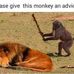 Nii Ofei Dodoo - Facebook