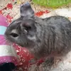 koszatnikalbert - @koszatnik_albert - TikTok