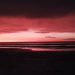 Nikolaus Brandis - @nikbrandis - Instagram
